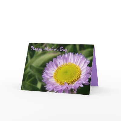 Happy Mother's Day Card #2 by dlgray