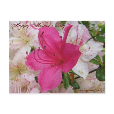 Happy Mother's Day card Post Cards by vitaliy