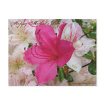 Happy Mother's Day card postcards by vitaliy Happy Mother's Day card postcards