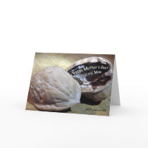 Happy Mother's Day card (walnuts) by graphicdoodles Happy Mother's Day card (walnuts)