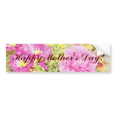 Mothers day carnation