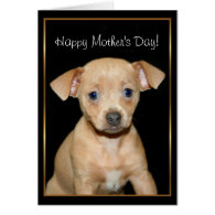 Happy Mother's Day Chihuahua pug greeting card