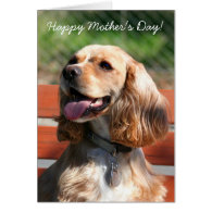 Happy Mother's Day Cocker spaniel greeting card