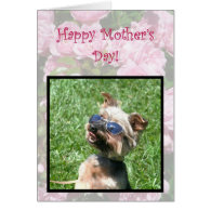 Happy Mother's Day Cool Yorskshire Terrier card