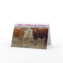 Happy Mother's Day Cows - Western Cards