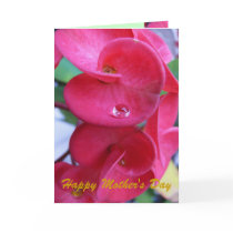 Happy Mother's Day - Customized cards by Priscilla48 Happy Mother's Day - Customized cards