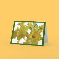 Happy Mother's Day Daffodils cards by graphicdoodles Happy Mother's Day Daffodils cards