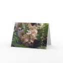 Happy Mother's Day Flowers cards