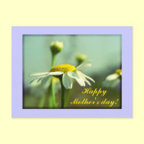 Happy Mother's day flowers postcards