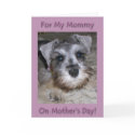 Happy Mother's Day - From Your Best Friend! cards