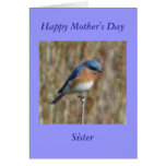 Happy Mother's Day Greeting Card