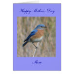 Happy Mother's Day Greeting Card