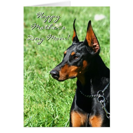 Printable Doberman Moothers Day Cards