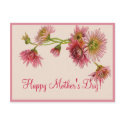 HAPPY MOTHER'S DAY MUMS by SHARON SHARPE postcards by sharonsharpe HAPPY MOTHER'S DAY MUMS by SHARON SHARPE postcards