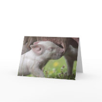 Happy Mother's Day Nursing Piglet Card