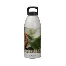 Happy Mother's Day - Orange Rose Water Bottles