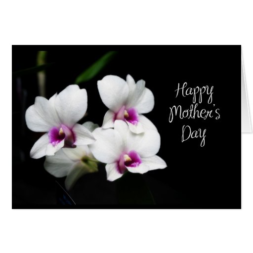 happy Mother's Day Orchids Greeting Card Zazzle