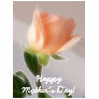 Happy Mother's Day! -... Happy Mother's Day! -...