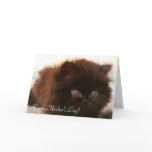 Happy Mother's Day persian kitten greeting card