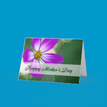 Happy Mother's Day - Pink Cosmos cards
