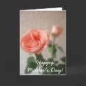 Happy Mother's Day! - Pink Cut Roses - Time cards by HolidayGreetings Happy Mother's Day! - Pink Cut Roses - Time cards