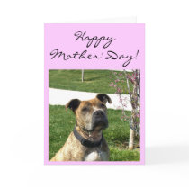 Happy Mother's Day Pitbull greeting card