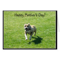 Happy Mother's Day pitbull greeting card
