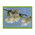 Happy Mother's day postcard