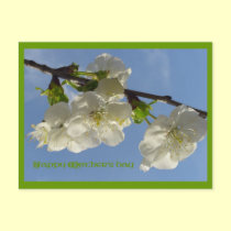 Happy Mother's day postcards