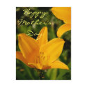Happy Mother's Day_ Postcard by zazzlegirboy09 Happy Mother's Day_ Postcard