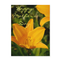 Happy Mother's Day_ Postcard