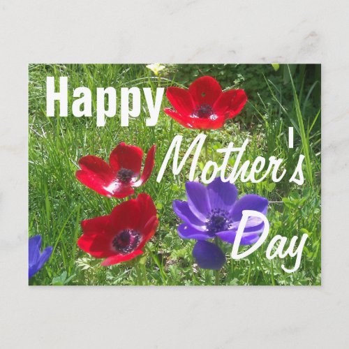 Happy Mother's Day PostCard zazzle_postcard