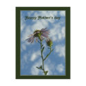 Happy Mother's day postcard