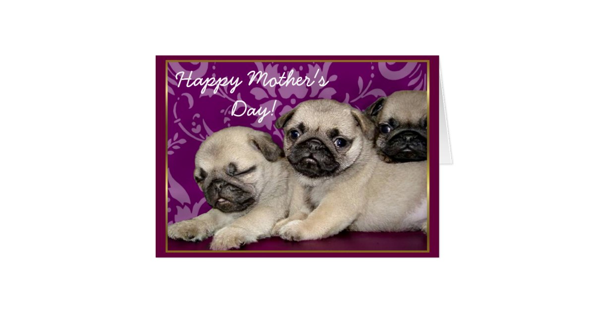 happy-mother-s-day-pug-puppies-greeting-card-zazzle