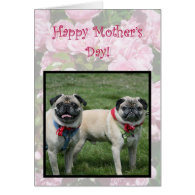 Happy Mother's day pugs greeting card