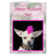 Happy Mother's Day Punk Chihuahua greeting card