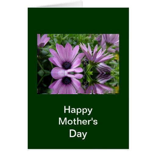 Happy Mothers Day Purple Daisy Flowers Card Zazzle