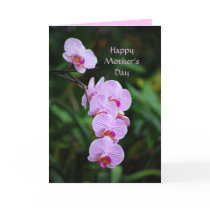 Happy Mother's Day Purple Phalaenopsis Orchid Card