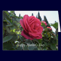 Happy Mother's Day Rose Card cards