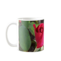 Happy Mother's Day Rose Mug