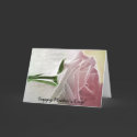 Happy Mother's Day! - Single Pink Rose Basics cards by HolidayGreetings Happy Mother's Day! - Single Pink Rose Basics cards