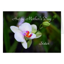 Happy Mother's Day Sister Phalaenopsis Orchid Card