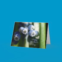 Happy Mother's Day - Spring Bud cards