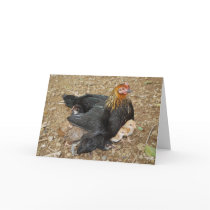 Happy Mother's Day Spring Chicken Card