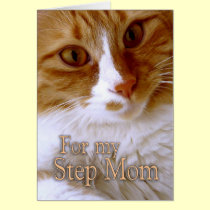 Happy Mother's Day - Step Mom Sweet Cat cards