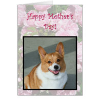 Happy Mother's Day Welsh Corgi greeting card