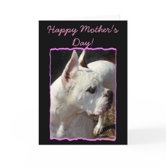 Happy Mother's Day White Boxer greeting card card