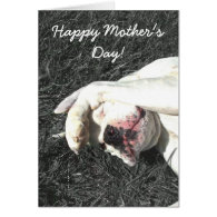 Happy Mother's Day White boxer greeting card