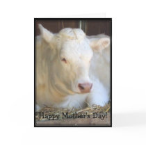 Happy Mother's Day White cow greeting card