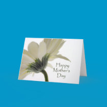 Happy Mother's Day - White Gerbera cards